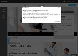 RVSitebuilder Quickstart Guide: Page Setting