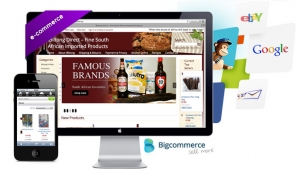 Bigcommerce ecommerce solution for mixed goods and South African delicacies